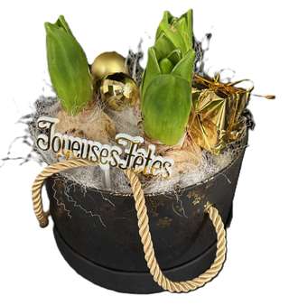 Seau doré Joyeuses Fêtes avec jacinthes