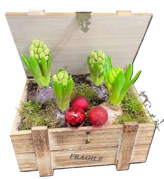 Coffre en bois Fragile avec jacinthes et boules rouges