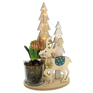 Décoration renne et sapins en bois avec jacinthe