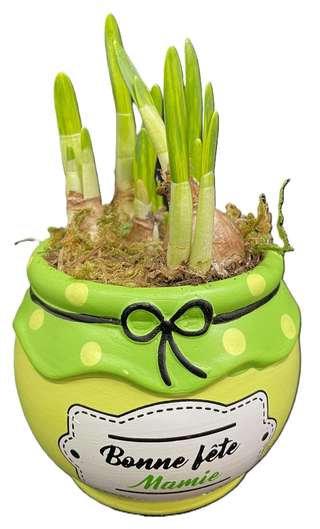 Pot vert et jaune Bonne fête Mamie avec narcisses